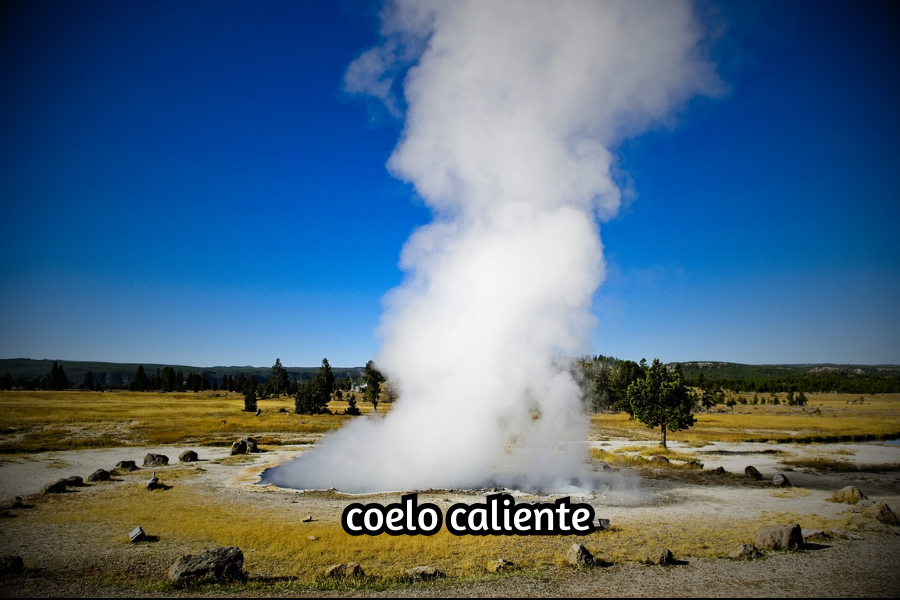 coelo caliente